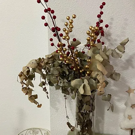 La Cupula De Gran Capitan *