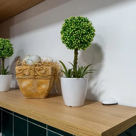 La Cupula De Gran Capitan 公寓